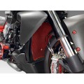DBK Special Parts (Ducabike) Aluminum Radiator Guard for the Ducati Diavel V4 DBK Special Parts (Ducabike) Aluminum Radiator Guard for the Ducati Diavel V4